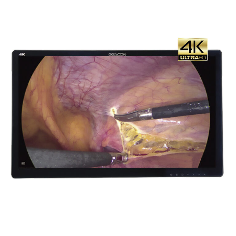 Медицинский эндоскопический монитор Beacon 27″ 4K (S2781P)